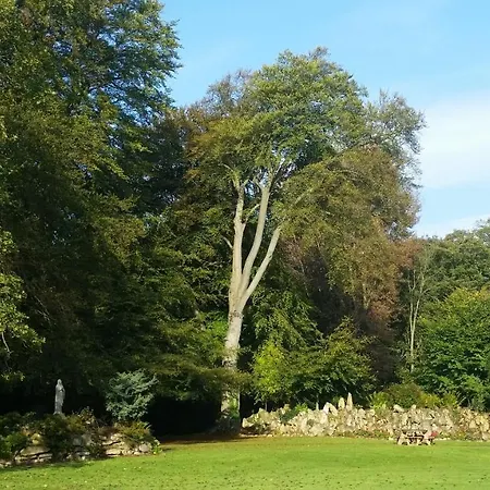 Hazlewood Castle & 乡村民宿 塔德卡斯特