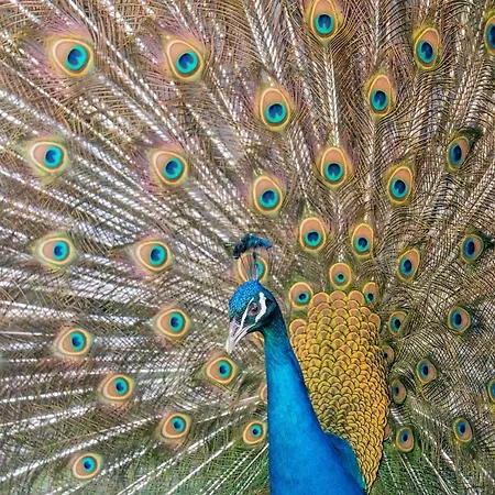 Hazlewood Castle & *